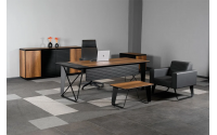 Alpix Ofis Büro Yönetici Takımı ( 210 cm Masalı)